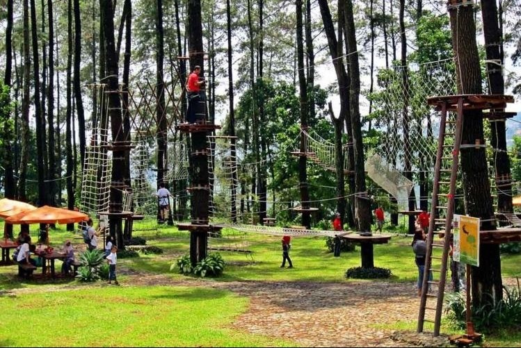 Treetop Adventure